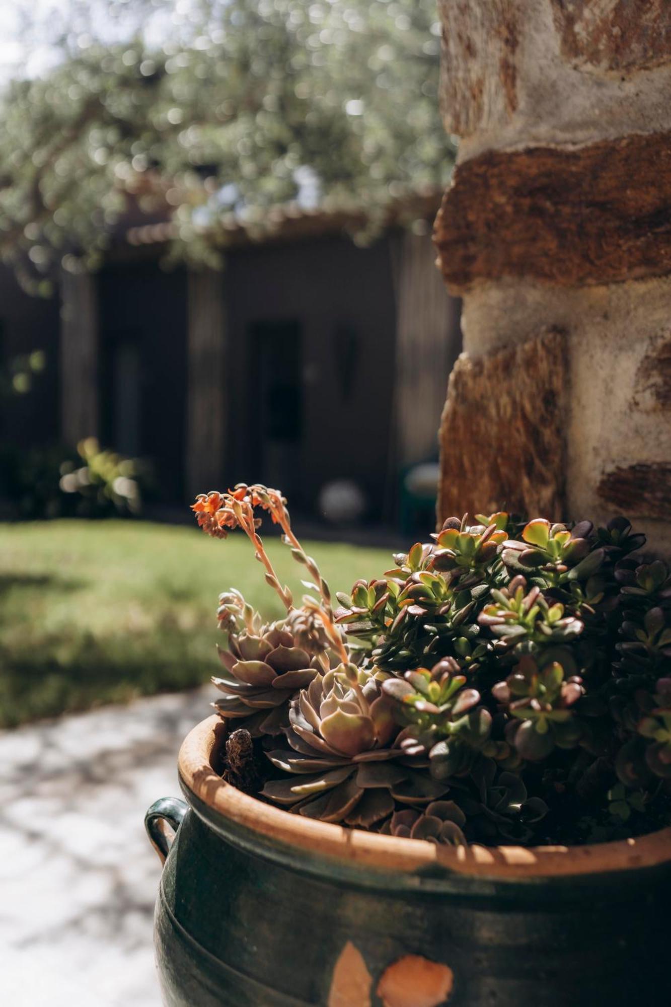 La Villa D'Andrea Ramatuelle Exterior photo